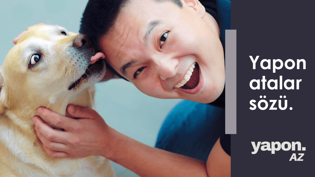 İtin sadiqliyi, sözün hikməti: yapon dilində atalar&nbsp;sözləri